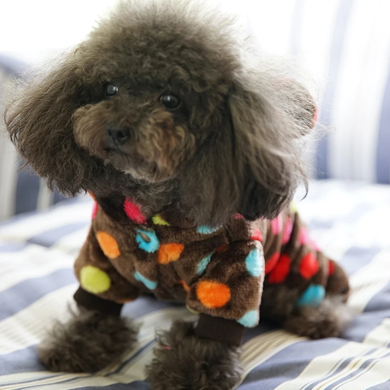 Новинка 2018 теплая одежда для собак Petcircle зимние пальто в горошек цветов радуги