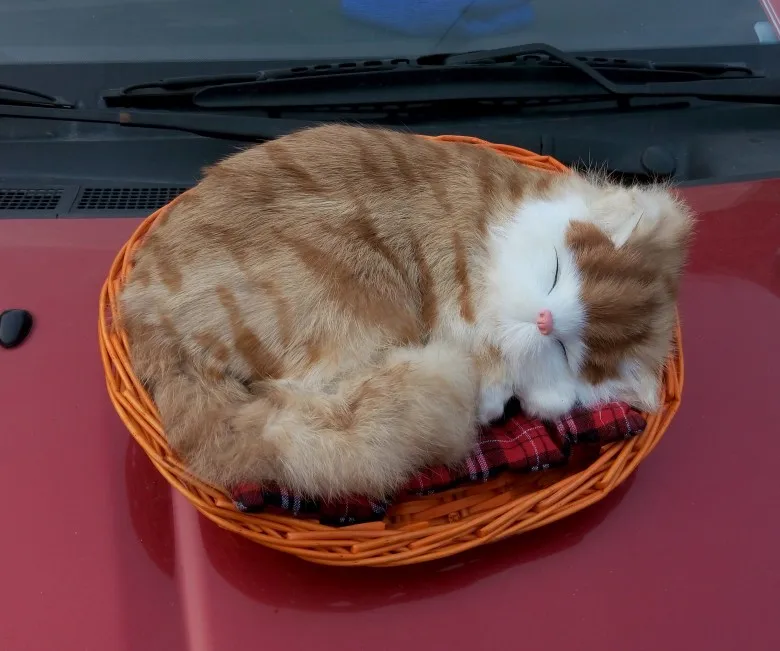 Модель милой спящей кошки miaow 25x21 см, модель из полиэтилена и пуха, модель кошки, реквизит для украшения дома, модель в подарок d392