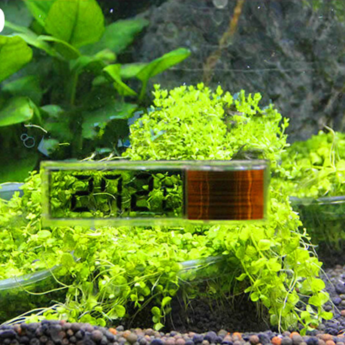 Случайный цвет многофункциональный Lcd 3D Кристальный цифровой электронный