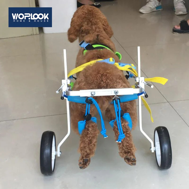 Коляска для собак и кошек на 2 колесах Мопед парализованная инвалидов