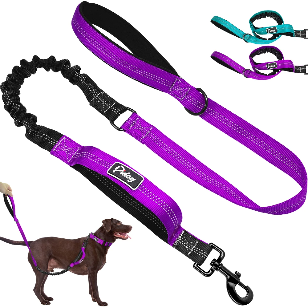 

Dog Leash Lead Elastic Bungee Dog Leash Nylon Reflective Dog Running Leash Pet Puppy Walking Leashes Traction Rope 2 Handles