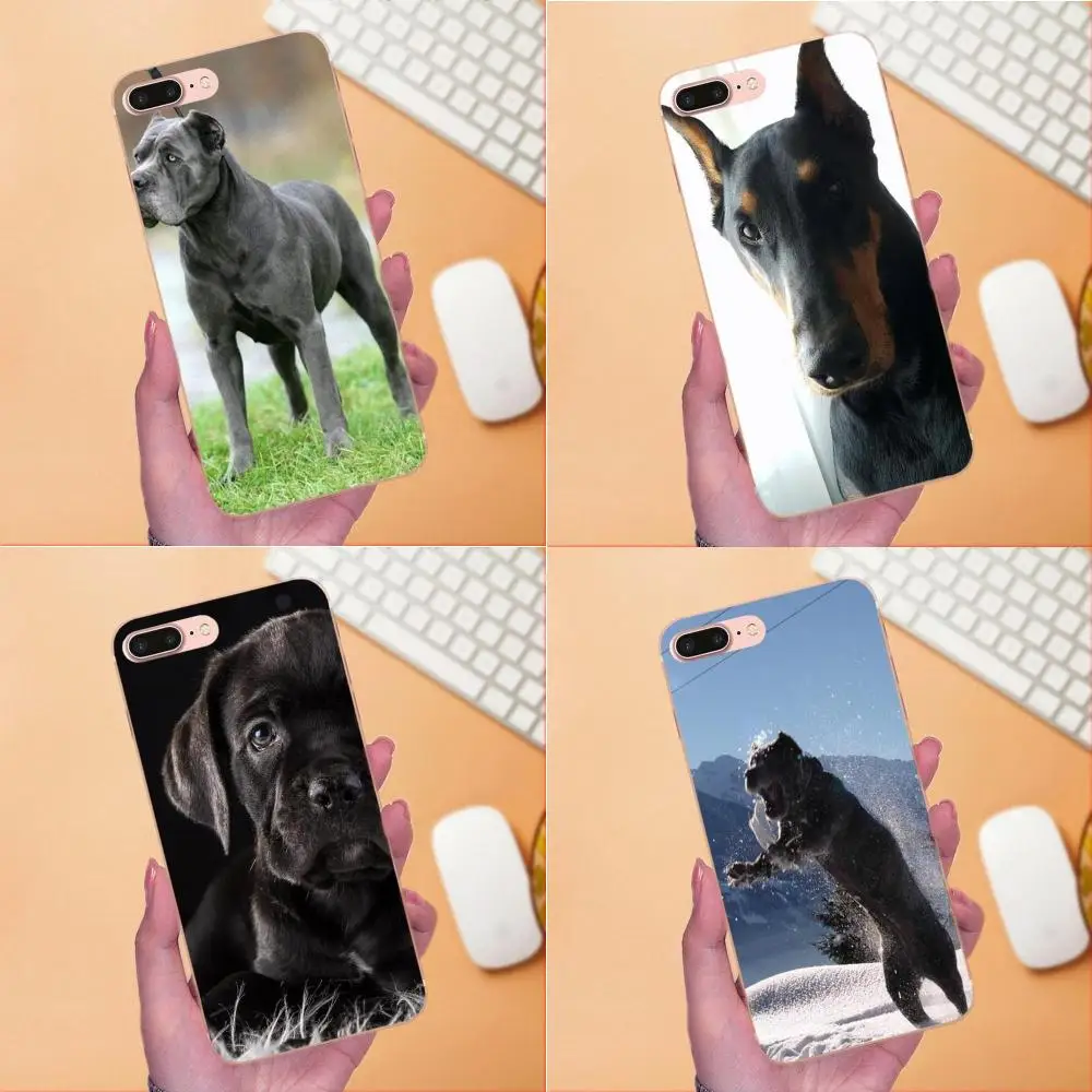 Итальянские собаки трость Корсо мастиф для LG Nexus 5 5X G2 G3 mini spirit G4 G5 G6 K4 K7 K8 K10 2017 V10 V20