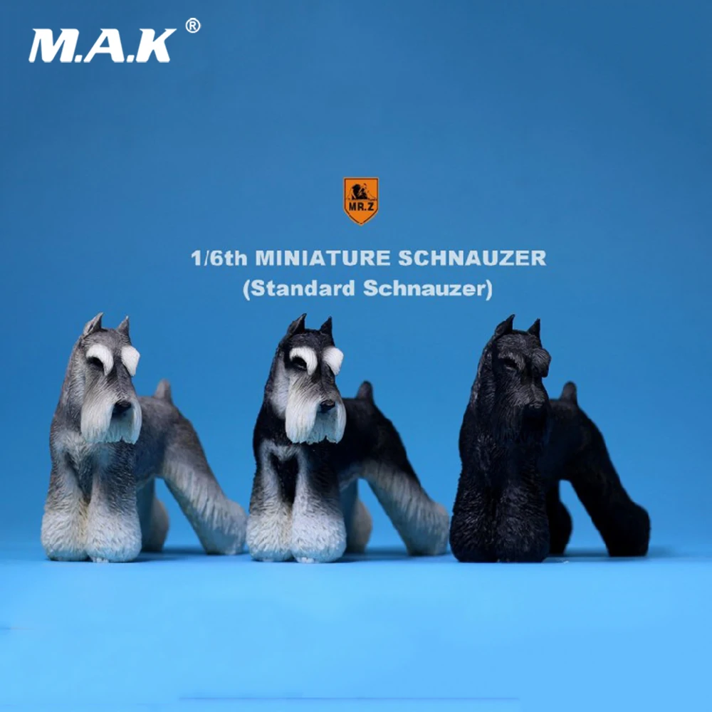 

Collectible 1/6 Scale Miniature Schnauzer Dog Model MRZ019 Simulation Animal Resin Toy For 12'' Soldier Model Scene Accessories