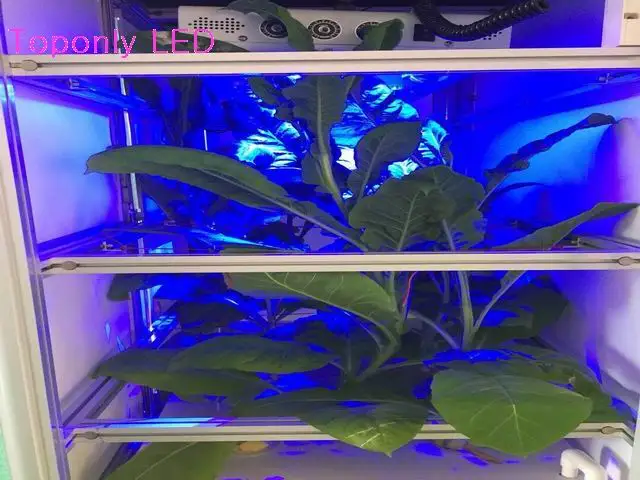 550 Вт COB полный спектр светодиодный регулятор освещения для выращивания диммеров костюм для комнатных клон овощей и цветения сцены 50 шт./лот DHL
