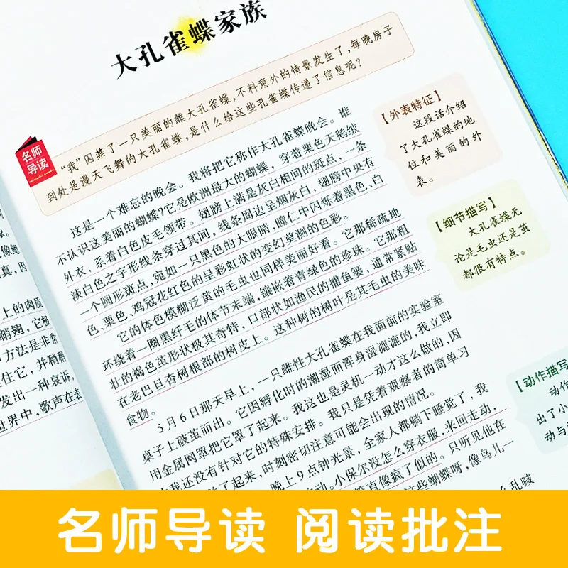 New the records about insects chinese book World classic story for kids children |