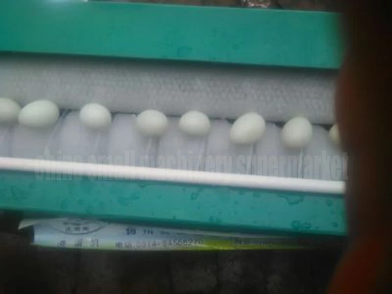 Горячая Распродажа хорошее качество Заводская цена Малый куриное яйцо инкубатор