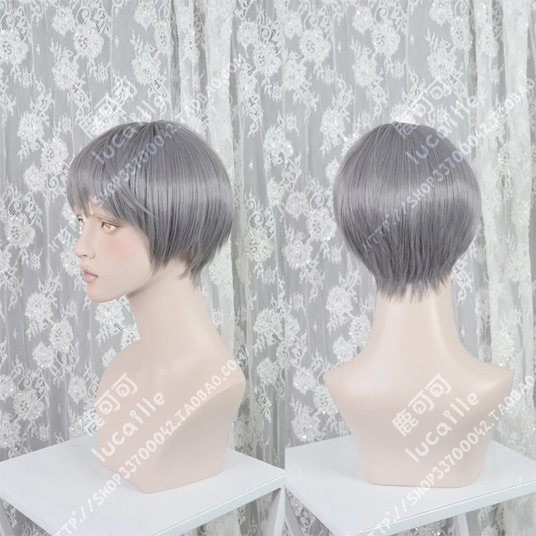 

Anime Free!-Dive to the Future Aiichirou Nitori Wig Cosplay Short Grey Heat Resistant Synthetic Hair Wig + Wig Cap