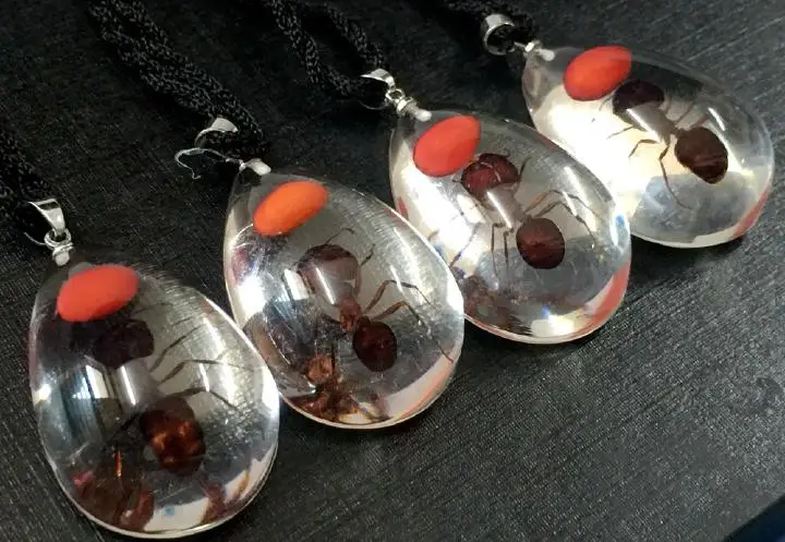 

25 PCS rare gift real ant red bean transparent drop pendant