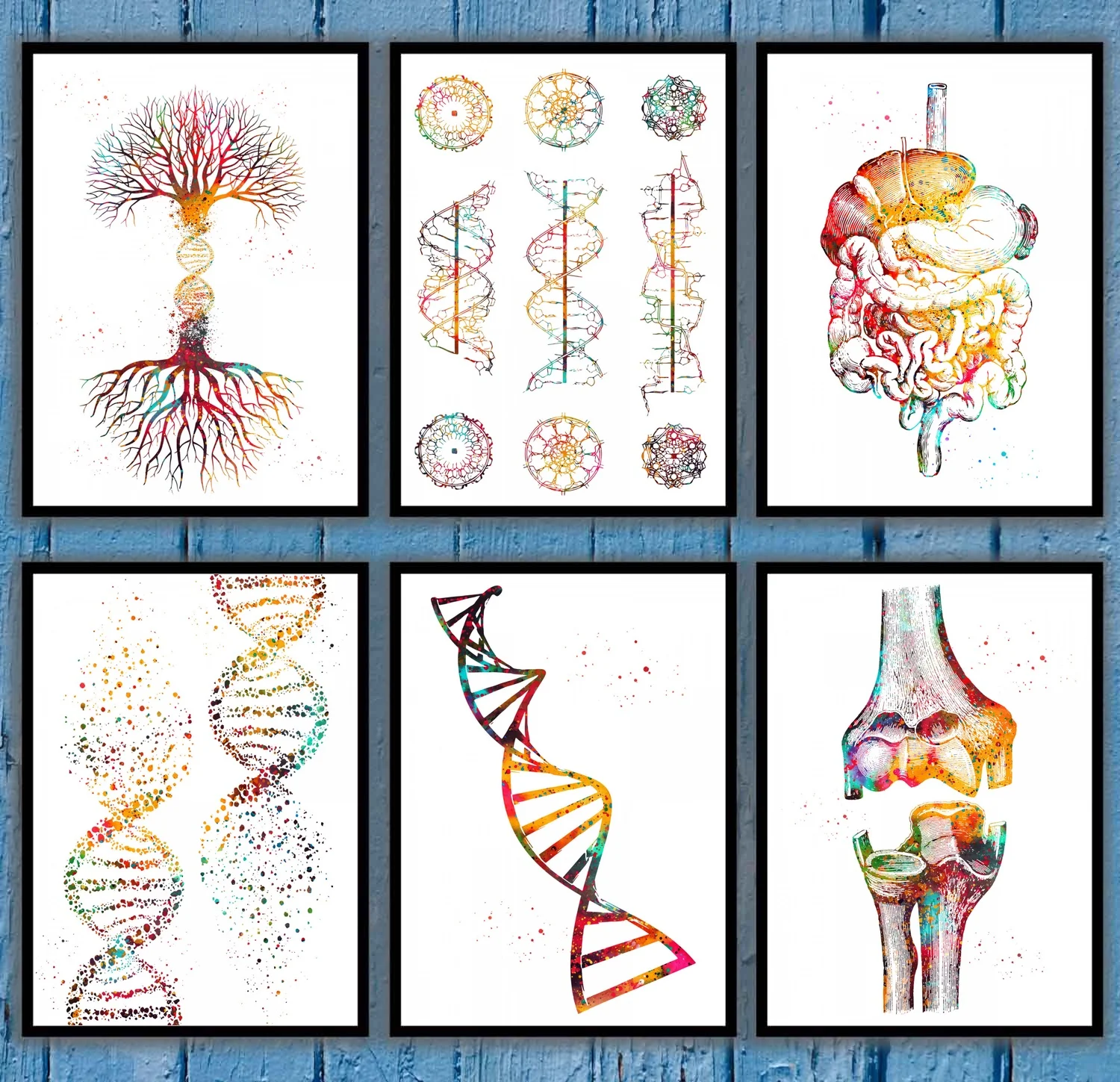 Dna double helix DNA conобразование ДНК дерево двойной завиток колено женской мускулатуры