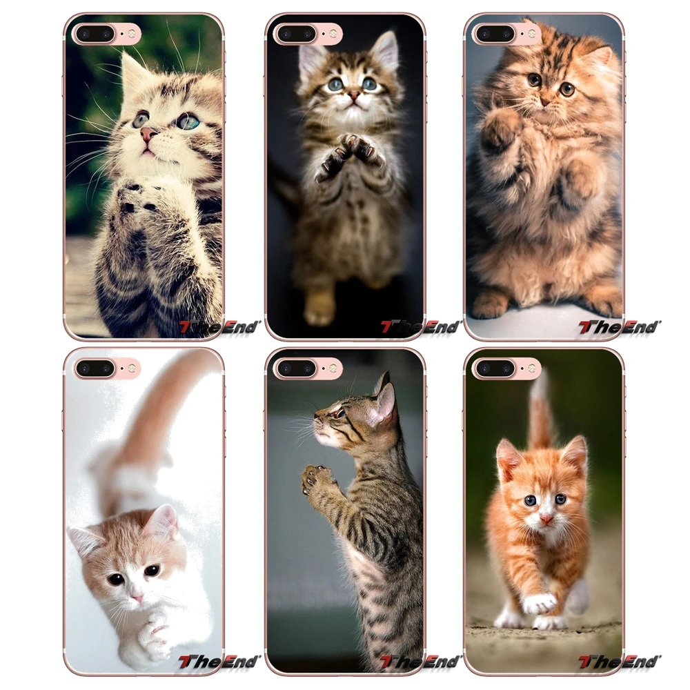 Силиконовый чехол для Samsung Galaxy J1 J2 J3 J5 J7 A3 A5 A7 2015 2016 2017 J530 J730 Fundas Coque Pretty moly kitта Коты |