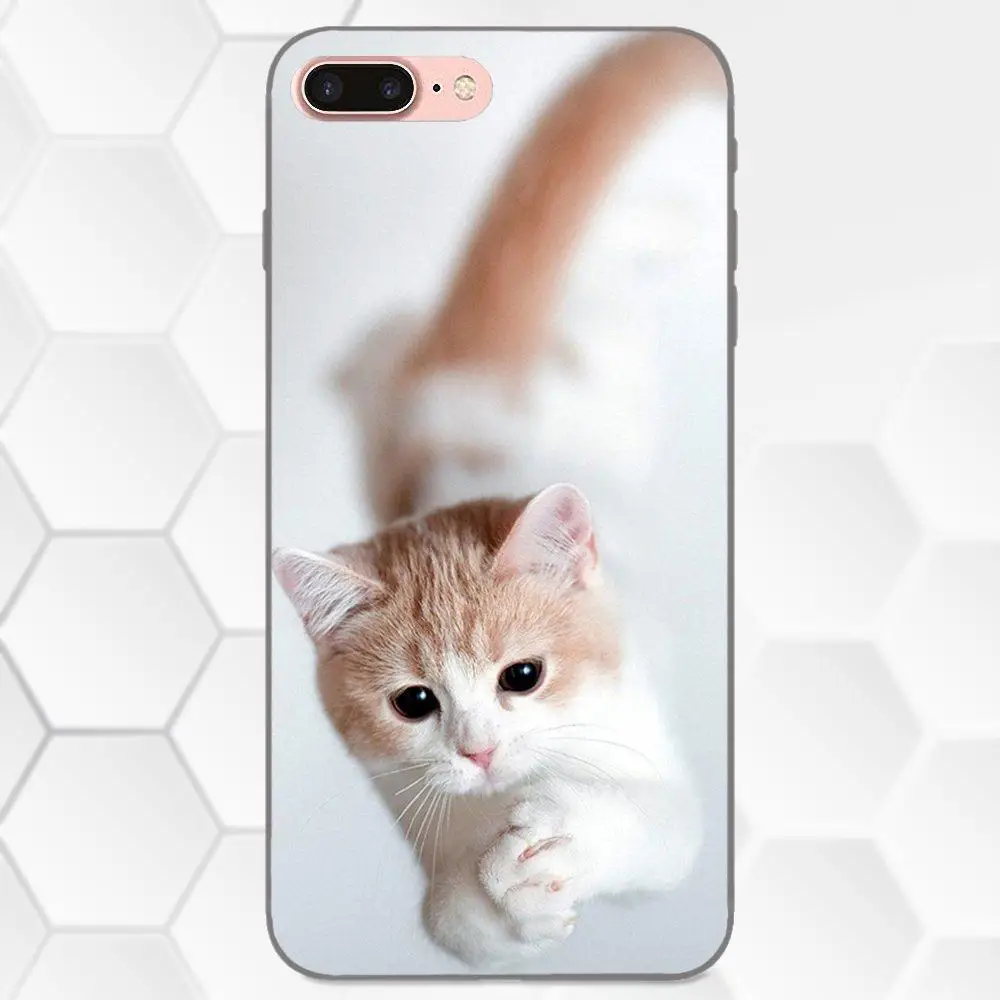 Для Huawei Honor Enjoy Mate Note 6s 8 9 10 20 Lite Play Pro P smart красочный стиль молитвенные котята милые