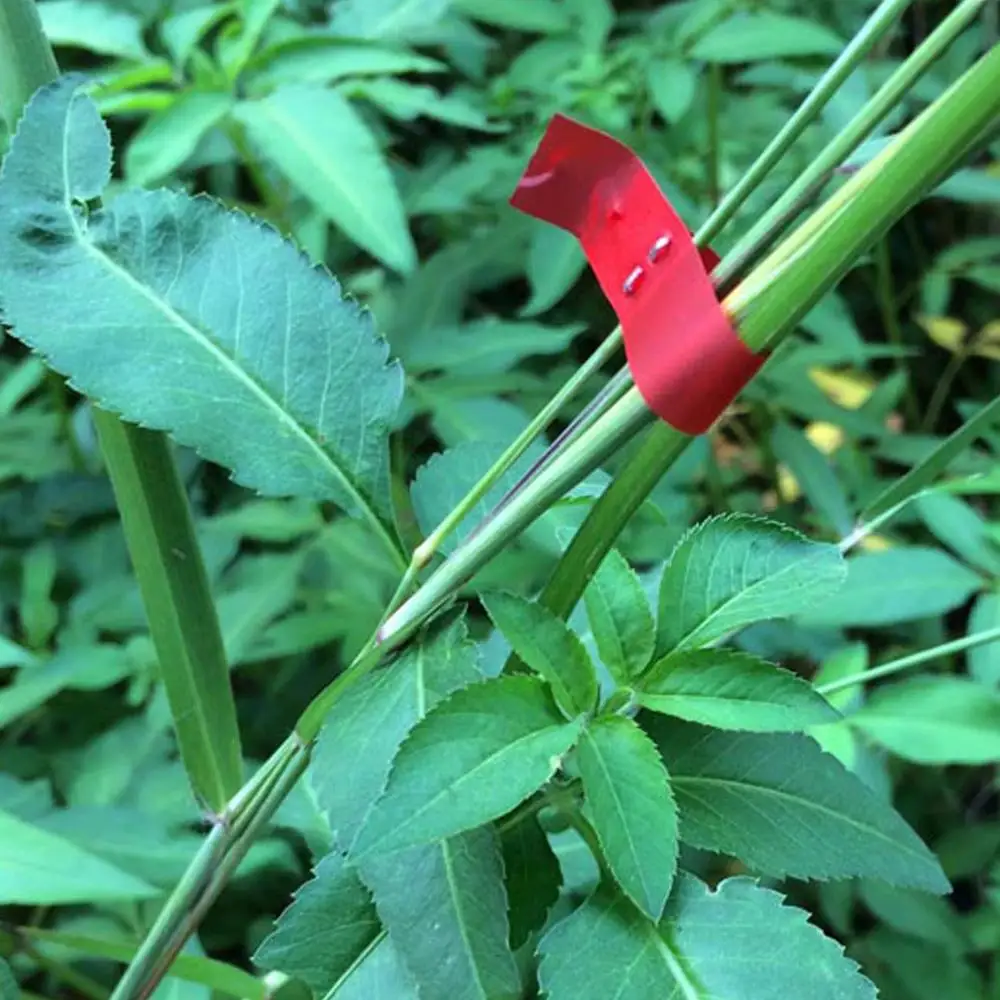 Обвязочная машина для фруктов/фиксирующие плоскогубцы/плоскогубцы вязания