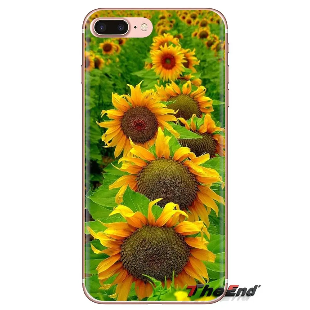 Sunflower Transparent Soft Cases Covers For HTC One U11 U12 X9 M7 M8 A9 M9 M10 E9 Plus Desire 630 530 626 628 816 820 830 |
