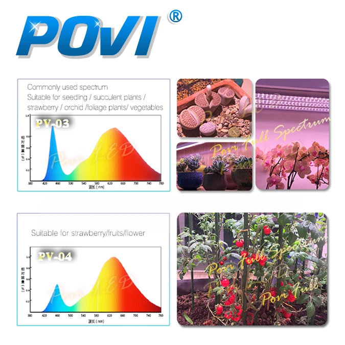 POVI 300 Вт ПРИВЕЛО Светать Полный Спектр Гидропоники Освещения для Парниковых
