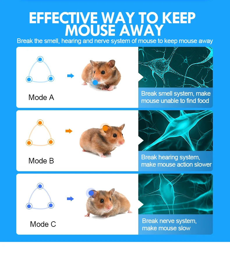 Vomeronasal nerve in a stallion. Мышь logitech m450. Human study mouse study. Genius 888 mouse. Genius мышь 1995.