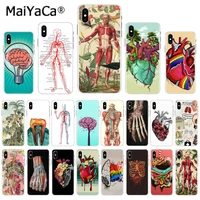 maiyaca medical human organs brain meridian kidney art phone case for iphone 13 se 2020 11 pro 8 7 66s plus x 5s se xr xs xs max