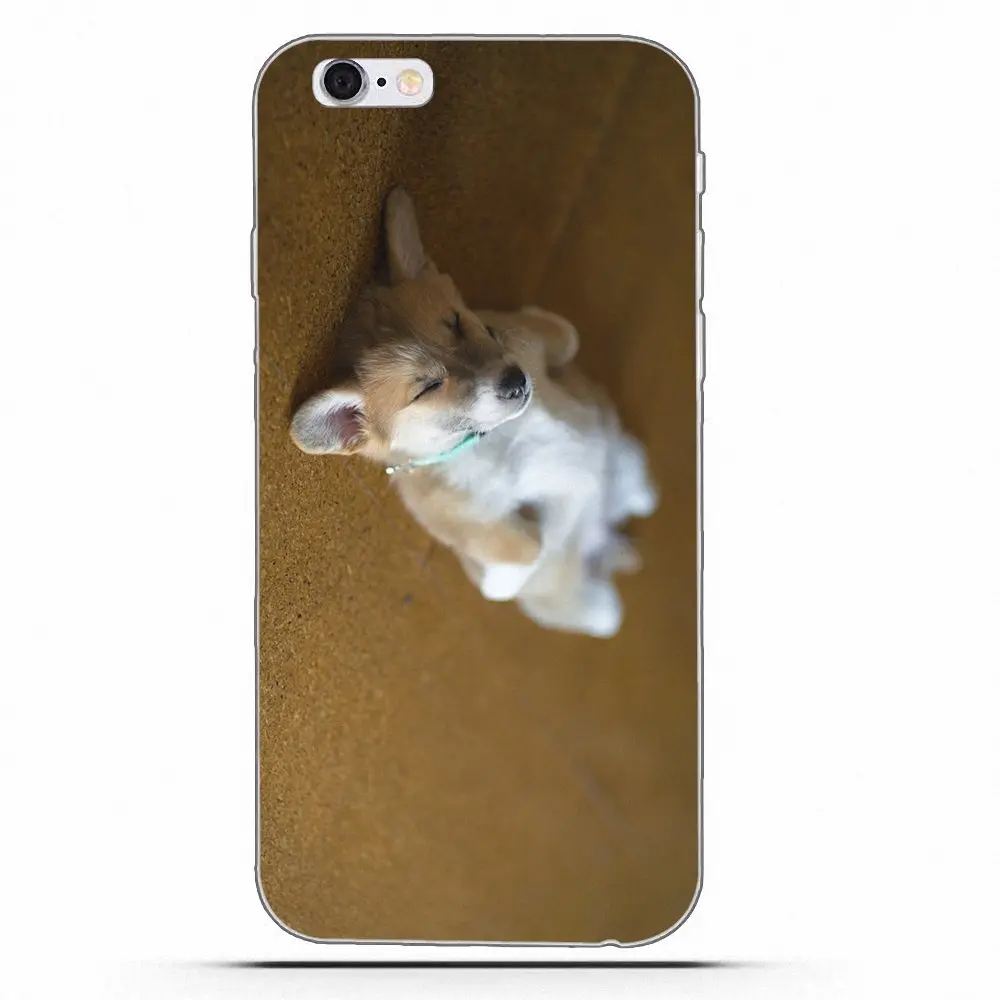 Мягкий чехол Wexoeq для мобильного телефона Samsung Galaxy A3 A5 A7 J1 J2 J3 J5 J7 2015 2016 2017 Corgi Dog