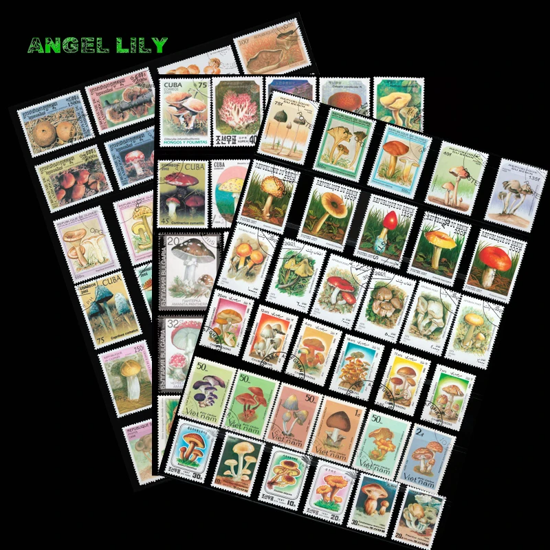 Тема растения гриб 100 шт./лот все отличается из многих стран нет повторных