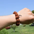 Модный непальский браслет Rudraksha, мужской браслет из натуральных бусин 18 мм, 6 бусин Mukhi Rudraksha, мужские браслеты ручной работы, Будда, медитация, ювелирные изделия, подарки