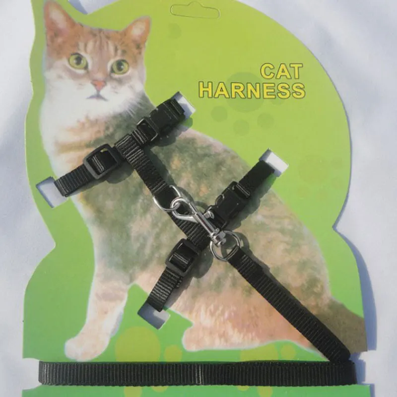 Ошейник Young Dog Cat поводок для поводка на грудь недорогой ошейник котят