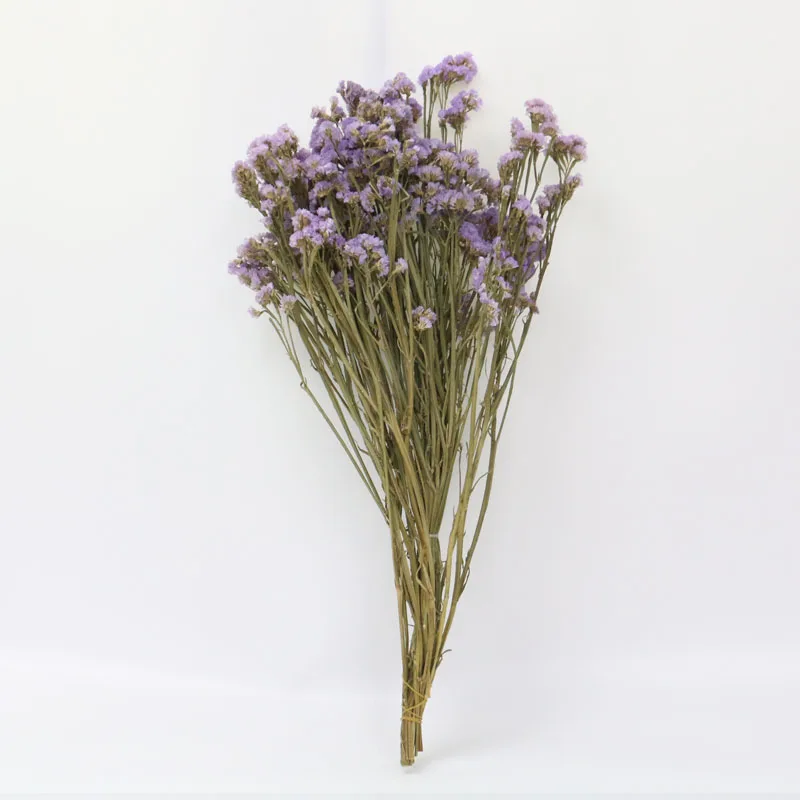55 см натуральный воздушный сушеный Forget-me-not букет из сушеных цветов Рождественские Свадебные украшения цветы семейные вечерние композиции цветов - Цвет: Light purple