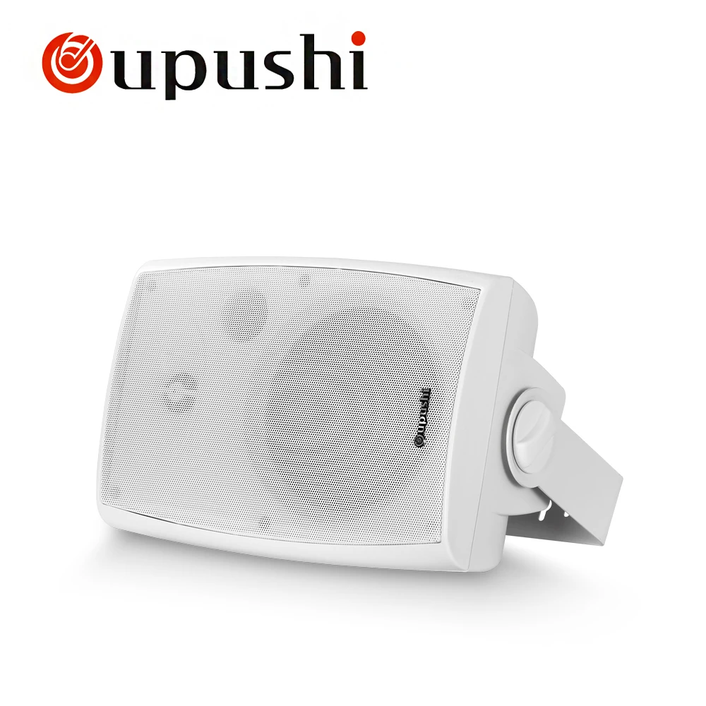 Система домашнего кинотеатра oupushi CL304 20 Вт черная Колонка для фона двусторонняя