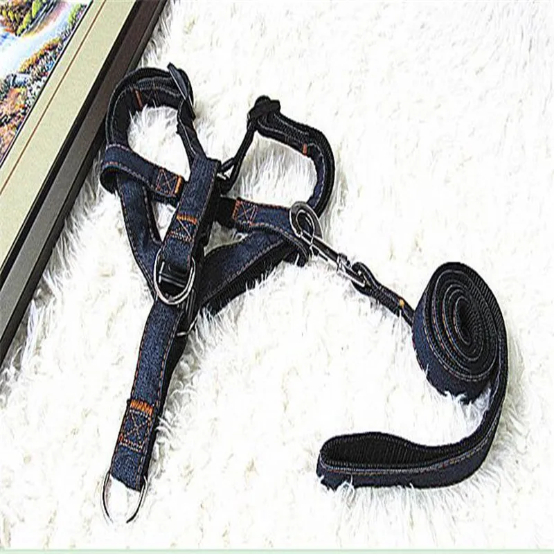 Твердые красочные жан джинсовые поводок проводов сопротивление укуса собаки