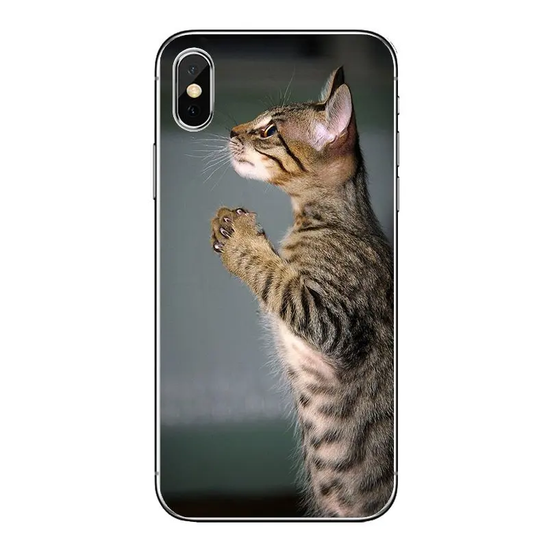 Для samsung Galaxy A5 A6 A7 A8 A9 J4 J5 J7 J8 2017 2018 Plus Prime довольно молитвы котята коты печати