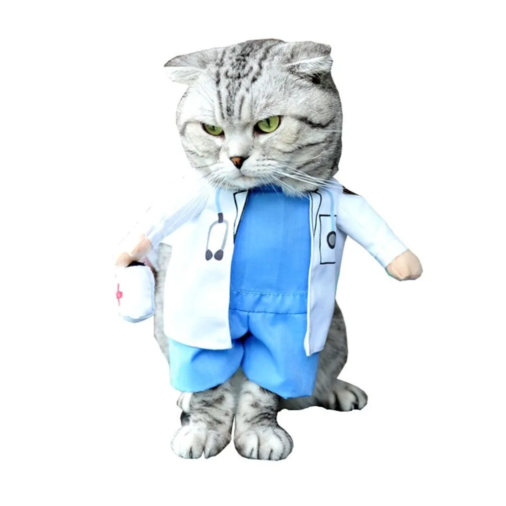 Одежда для животных одежда Хэллоуина собак и кошек|clothes cat|cat funnyfunny cat clothes |