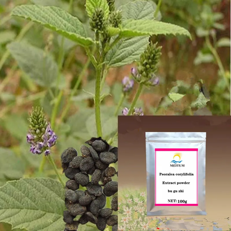 Psoralea corylifolia экстракт порошок/Обезболивание/лечение алопеции/хороший эффект/ транспортировка