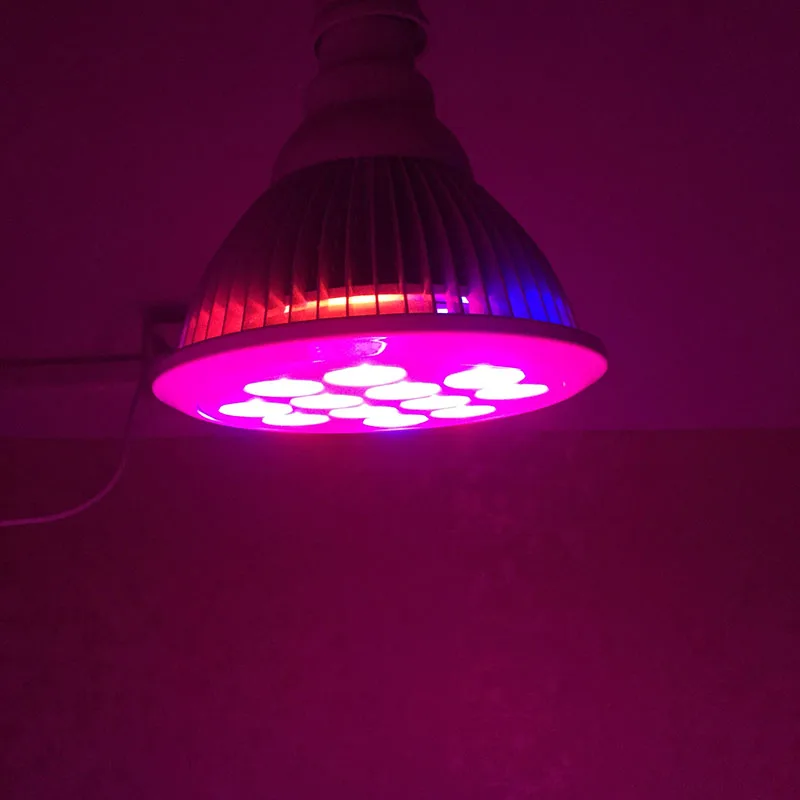 12 Вт 24 36 Светодиодный растительный светильник лампа E27 SMD растущий s Гидропоника