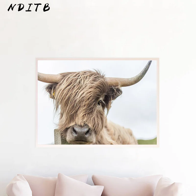 NDITB Highland корова настенная живопись холст постеры с животными и принтами