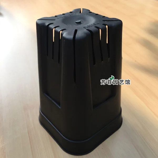 Новые суккуленты талия дышащие пластиковые цветочные горшки розы Клематисы|plastic