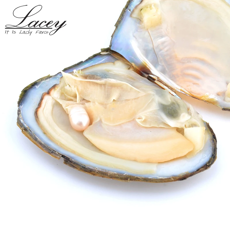 Устричный жемчуг вакуумная упаковка натуральные бусины Пресноводный Жемчуг