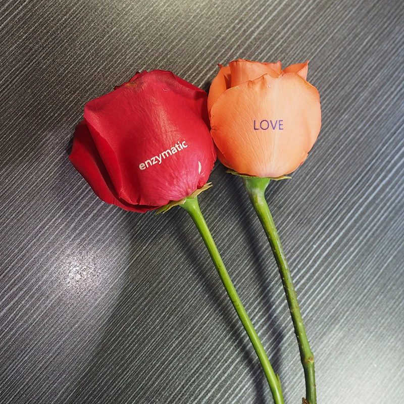 Маленький УФ принтер для печати цветов размер A3|small size printers|printer for flowersprinter small |