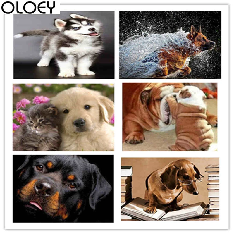 Полный квадрат дрель животные Алмазная картина наборы собака 5D Вышивка мозаика