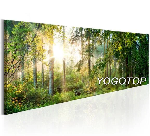Белый YOGOTOP полная Алмазная вышивка DIY алмазная живопись наборы для вышивки крестиком натуральные деревья пейзаж 5D Мозаика Декор солнце QA160 - Цвет: Белый