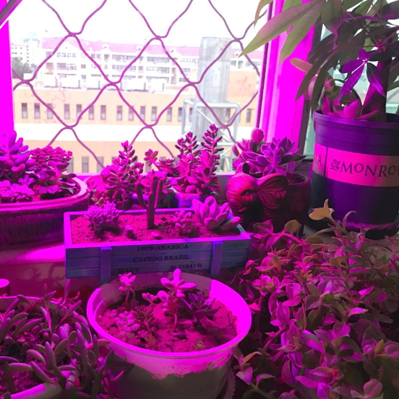 Светодиодная лампа полного спектра для роста растений 20W 30W 50W 80W UV для выращивания растений внутри помещения.