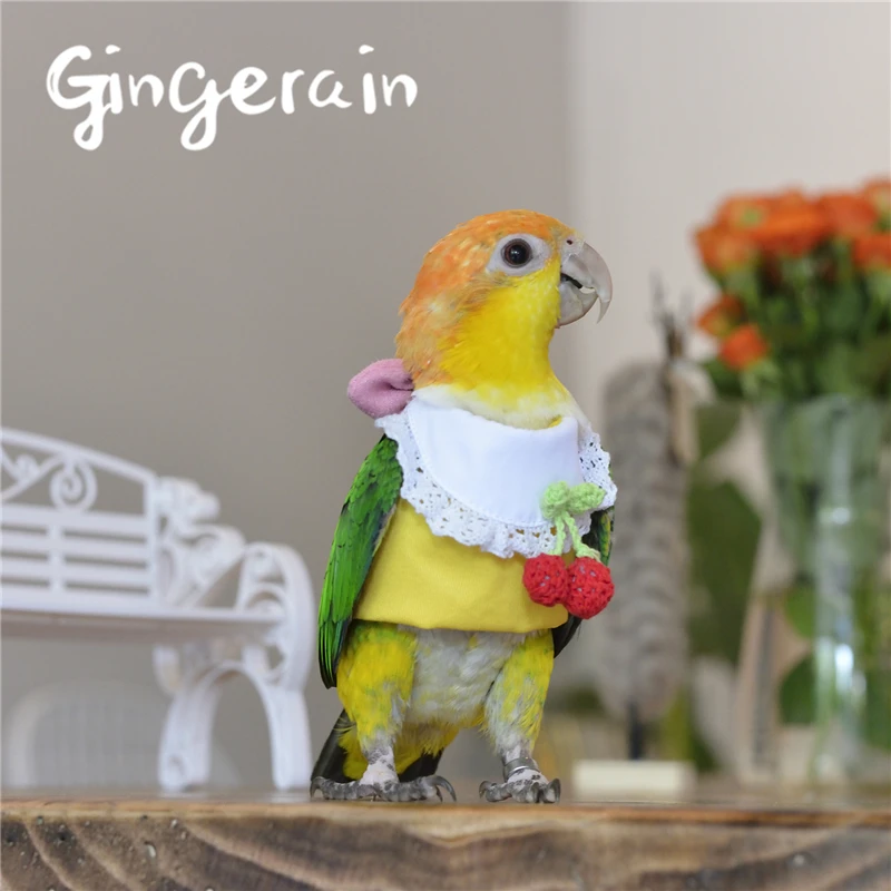 Gingerain одежда с птицами для попугаев вишневый свитер оригинальный ручной работы