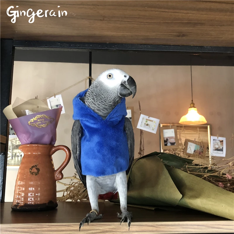 Gingerain одежда с птицами попугай одежда мимолетное время оригинальная ручная работа на заказ одежда с птицами свитер с капюшоном мимолетное время