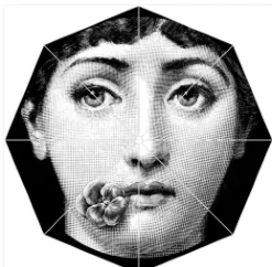 9 Винтажный автоматический зонт fornazetti Art beauty Face с черепом, модный пляжный зонт, зонтики солнце/женский зонт от дождя - Цвет: 9