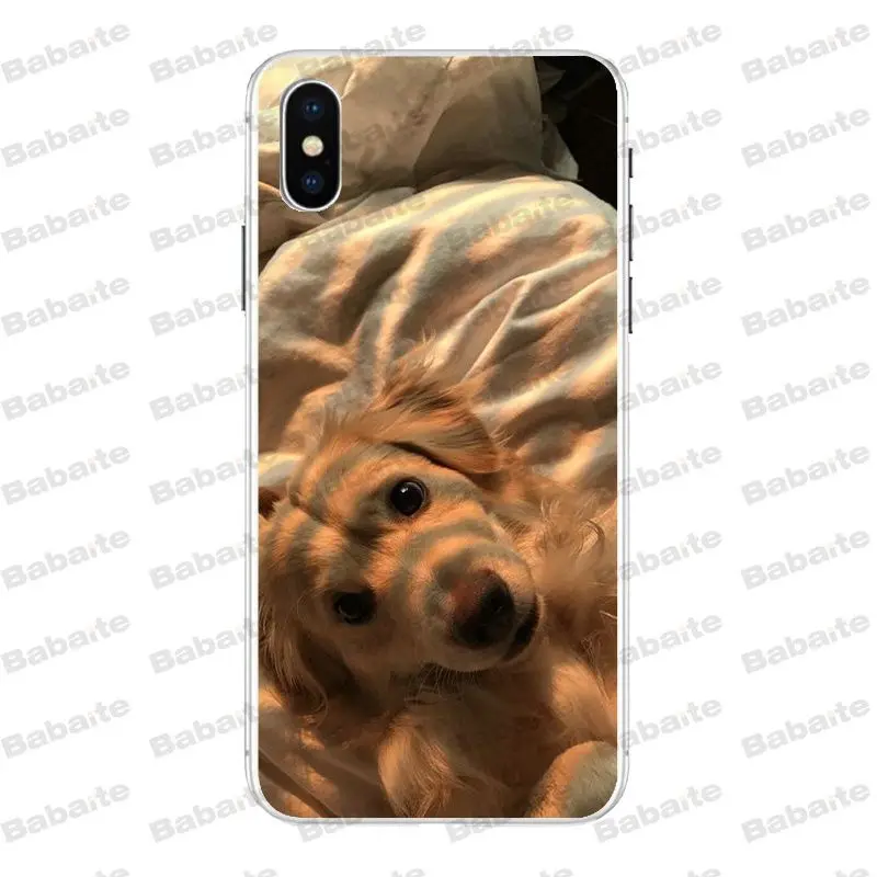 Babaite супер милый золотой ретривер чехол для телефона для iPhone X Xs Xr XsMax 6 6s Plus 7 7plus 8plus 5S 5c SE11 11pro 11promax