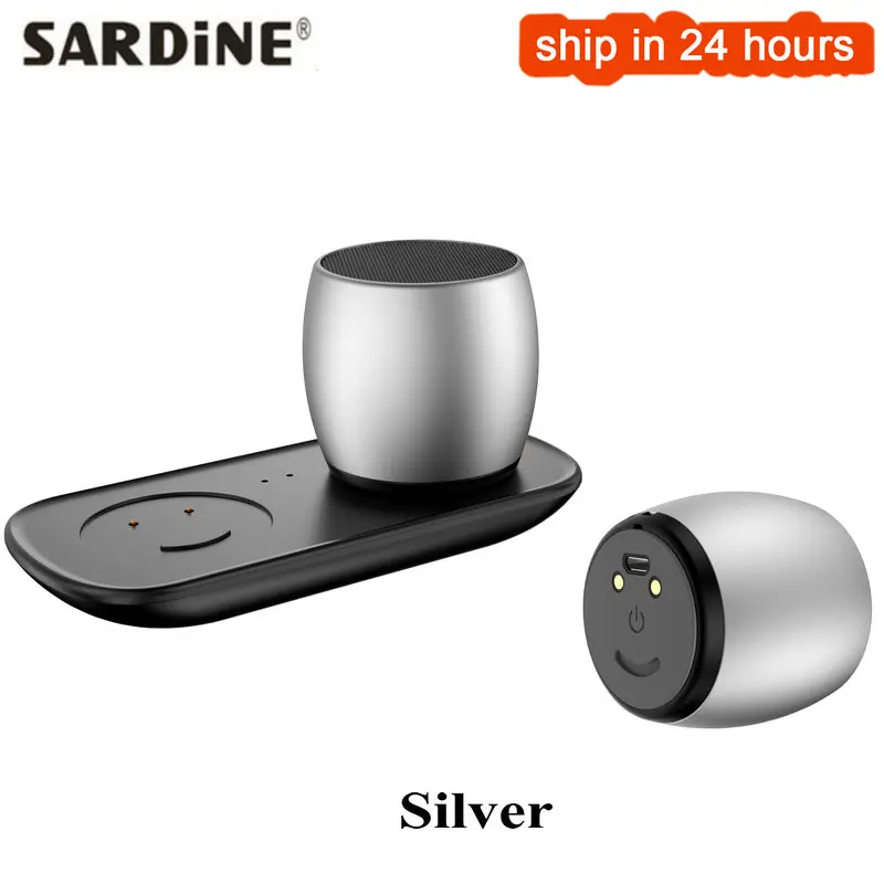 Silver Sardine F1 металлический Bluetooth динамик s TWS система Колонка портативный мини-динамик 3D стерео компьютерный сабвуфер громкий динамик MP3-плеер - Цвет: Silver