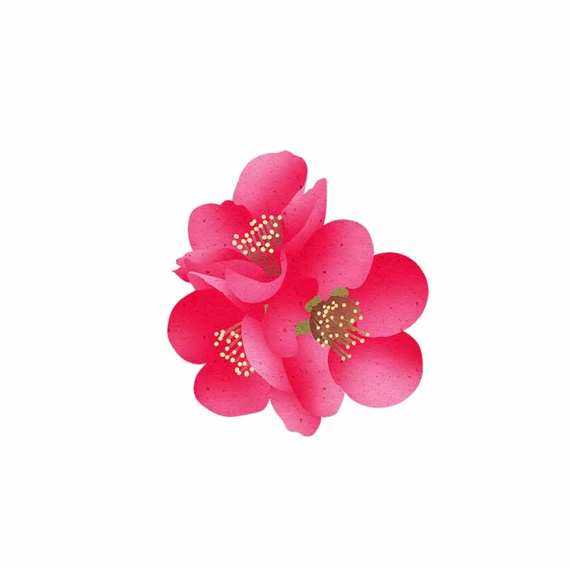YOJA 21*23 см красный цветок девушка украшение для спальни модная наклейка туалета