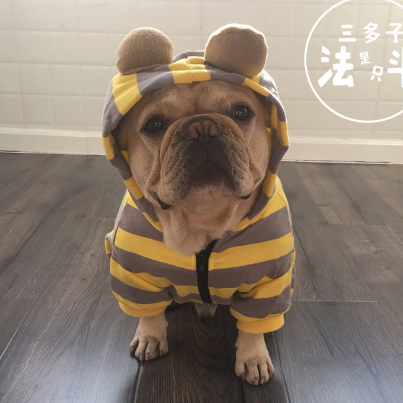[MPK Pets] Французская одежда для бульдога, оранжевая и желтая полоска, одежда для собак, свитер для собак