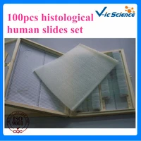 100%factory 100pcs histological human slides set