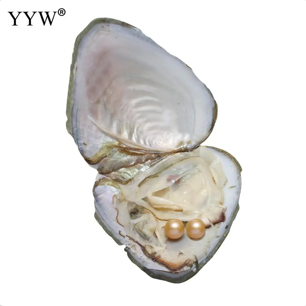АААА сорт Пресноводный Культивированный Жемчуг Love Wish Oyster пресноводный жемчуг Близнецы Wish жемчуг Oyster 7-8 мм Одна Устрица - Цвет: 27