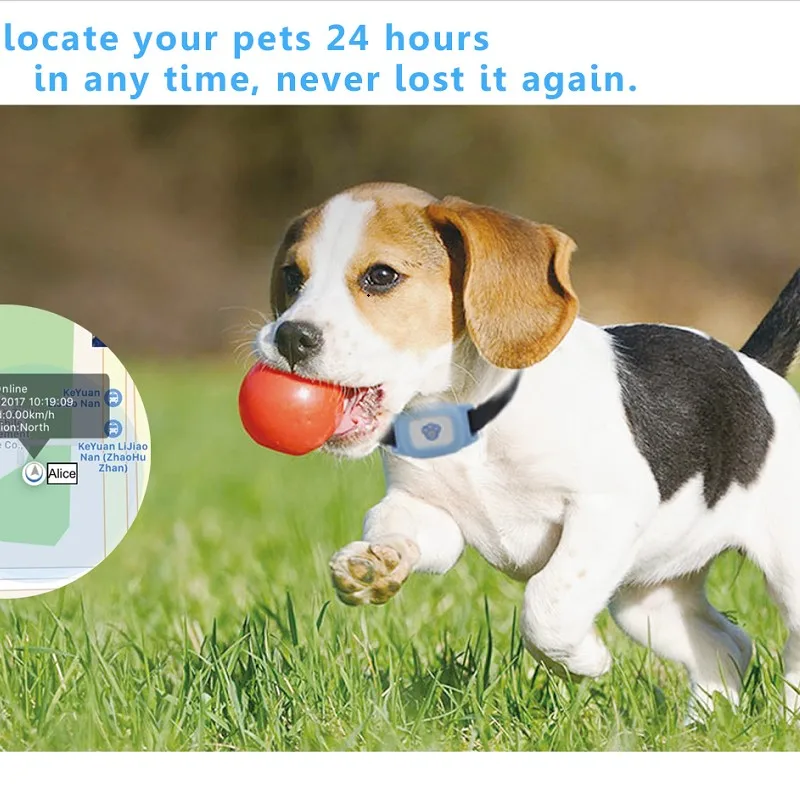 Smart MiNi Pet gps LBS следящее устройство ошейник водонепроницаемый IP67 для собаки кошки