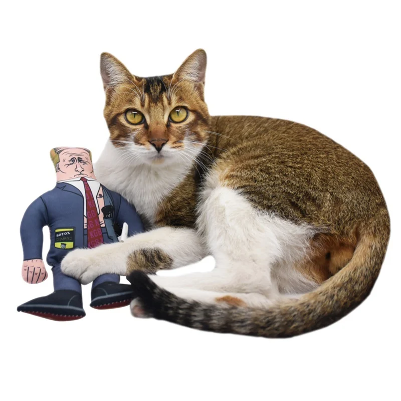 Pet Toy Dogs Cats Squeak Durable Molar Squeaky for Solving Boredom Training | Dog Toys