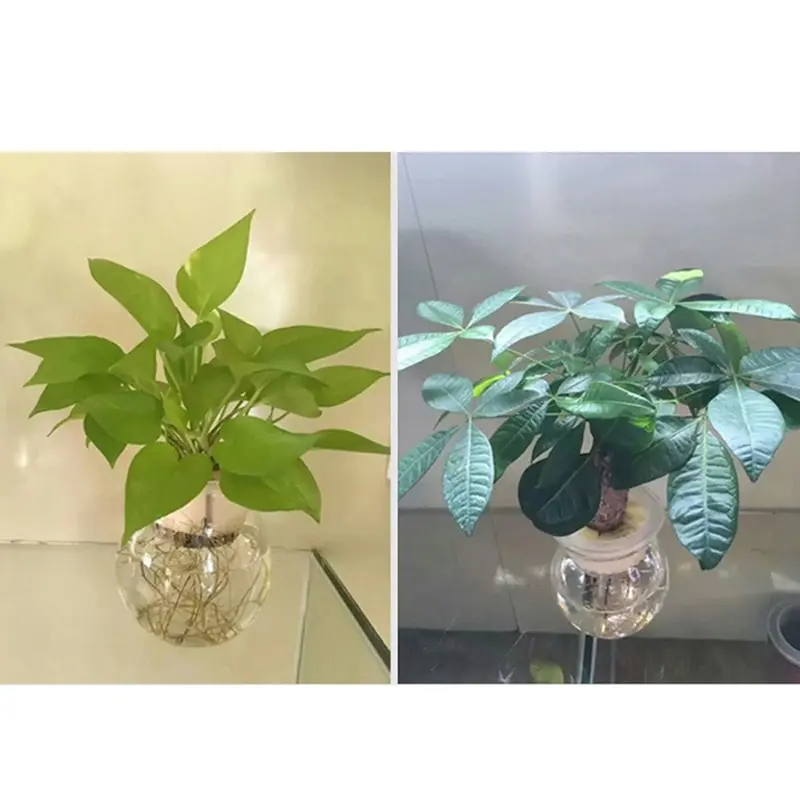 1 шт. Soilless Гидропонные овощи детская Губка Цветок кассеты для рассады выращивания Soilless губки для растений